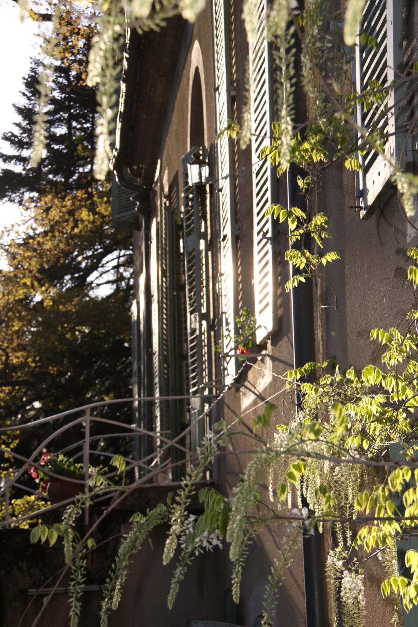 Bed and Breakfast Domaine Le Castelet Кастр Экстерьер фото